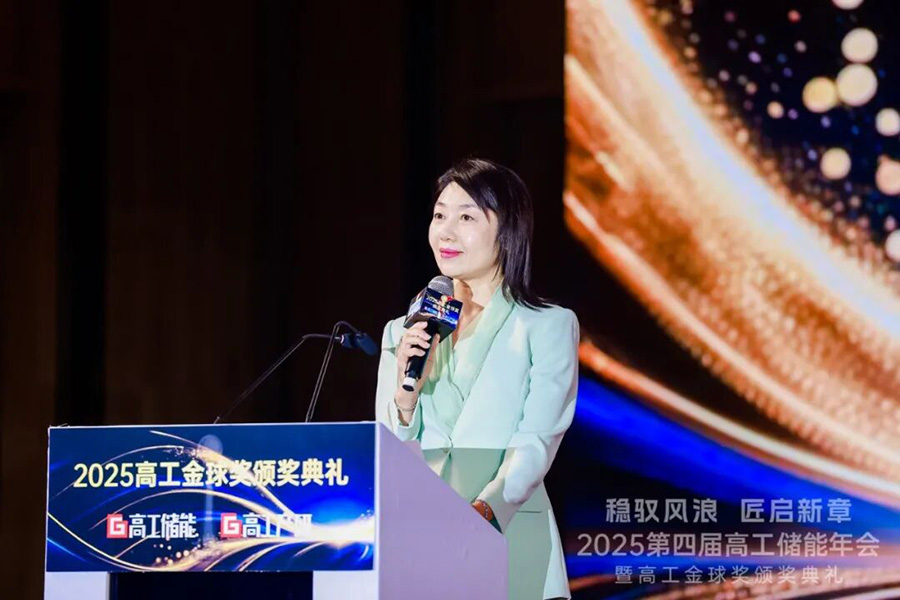 价值竞争时代来临，龙8国际储能Nexus AI技术荣获两项行业大奖